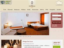 Tablet Screenshot of hotelpodsluncem.cz